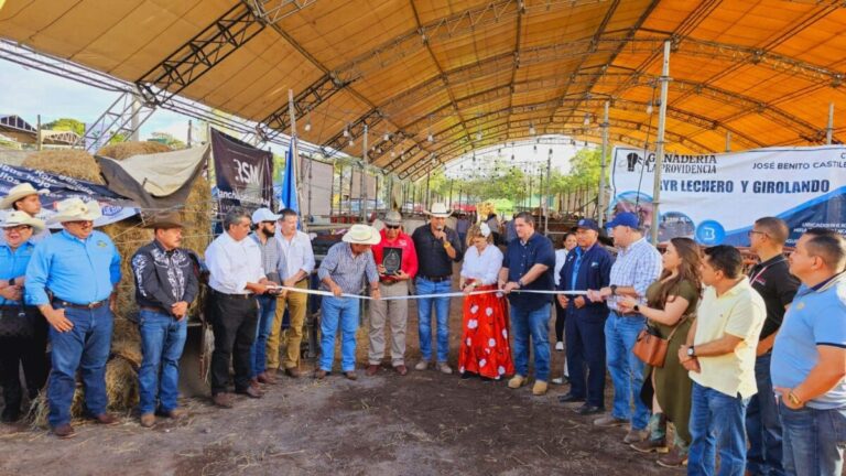 Inicia en Estelí la XXII edición de la Feria Ganadera