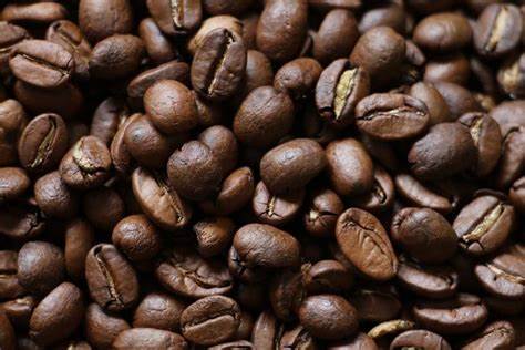 Ocotal celebra Primer Festival  Regional del Café