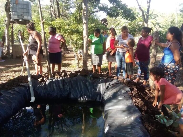Inauguran el primer estanque de Tilapias en el 2024 en la Comunidad de Nandarola 