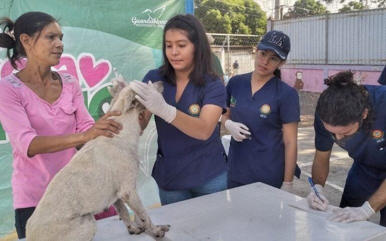 Realizan jornada de atención veterinaria 