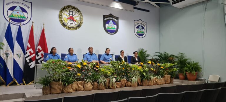 MINT realiza más de 200 mil servicios