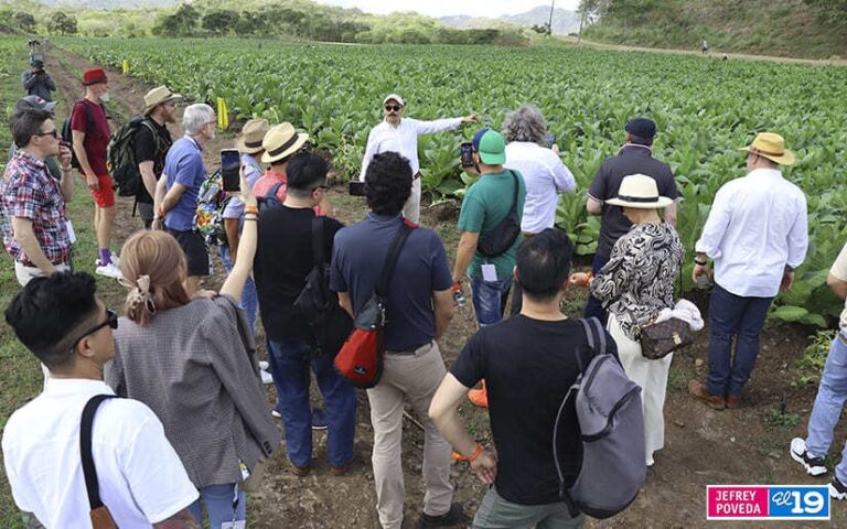 Se realiza por segundo día el XI Festival “Internacional Puro Sabor”