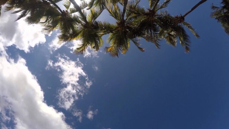 Altas temperaturas y fuertes vientos predominan en Nicaragua