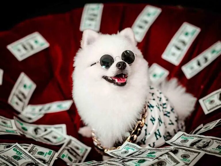 Otorga millonaria herencia a sus mascotas y a sus hijos los deja fuera