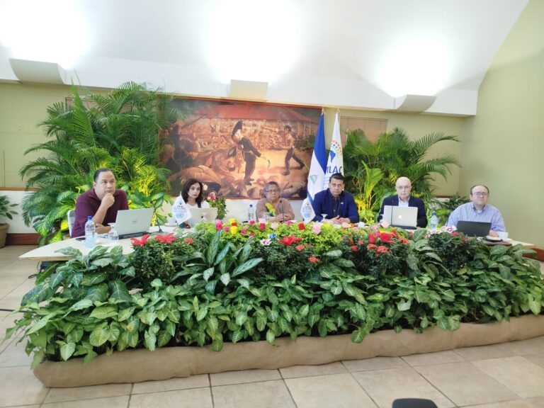 FILAC define planificaciones estratégicas para los pueblos indígenas