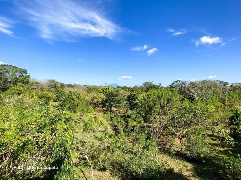 “Jilinjoche” un nuevo atractivo en Carazo