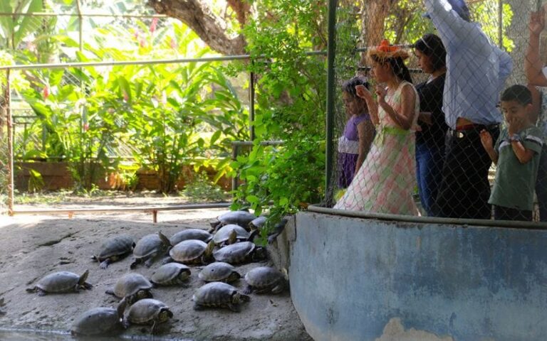 Familias visitan el Parque Zoológico Nacional