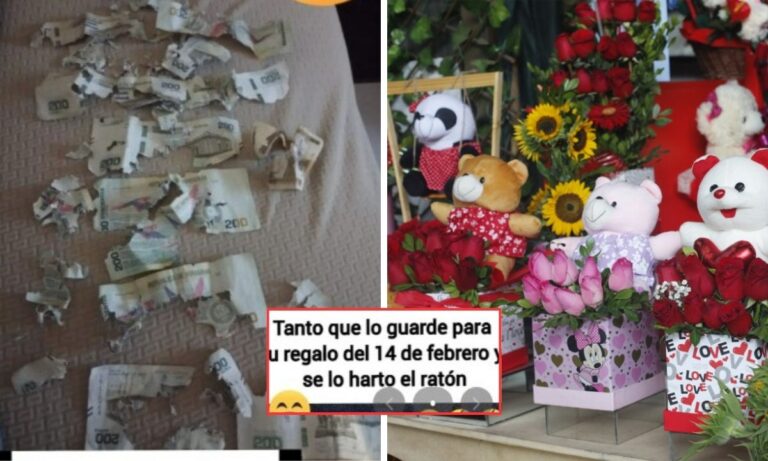 Ratones destruyen sus ahorros para San Valentín