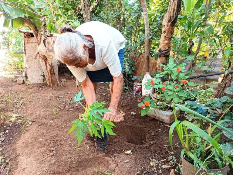 MEFCCA entrega plantas en Carazo