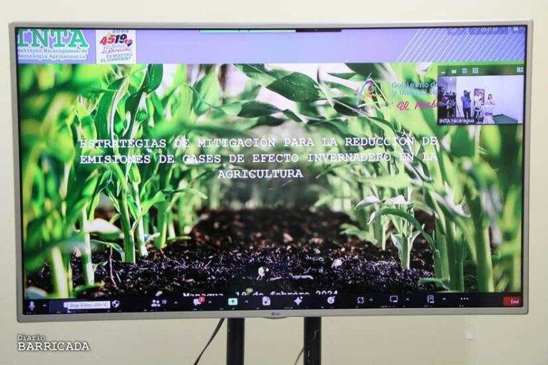 Realizan conferencia en línea sobre los efectos nocivos del gas invernadero