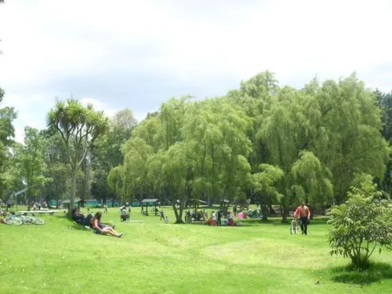 Sorprenden a pareja teniendo sexo en un parque