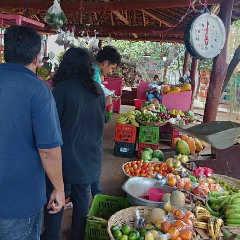 Parque de Ferias celebrará los “Sabores y Colores de Verano”