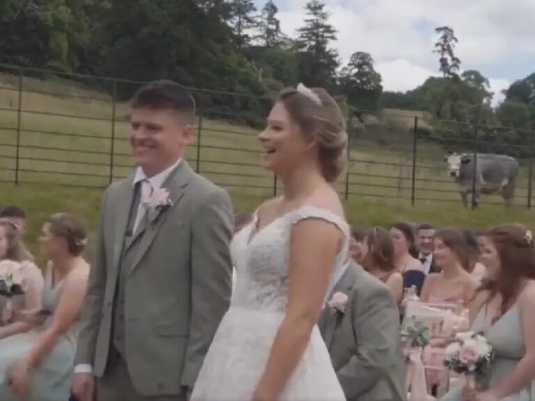Una vaca se roba el protagonismo al interrumpir una boda