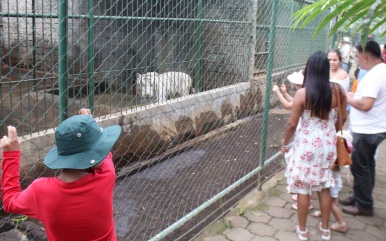 Ejecutan obras de mejoramiento en el Zoológico Nacional