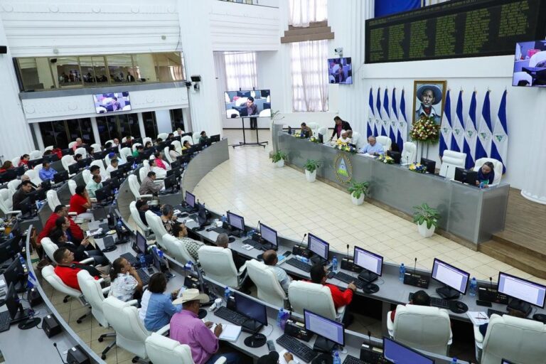 AN aprueba Ley de Digesto Jurídico en Materia Constitucional