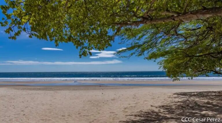 Occidente registra temperaturas de 40 grados