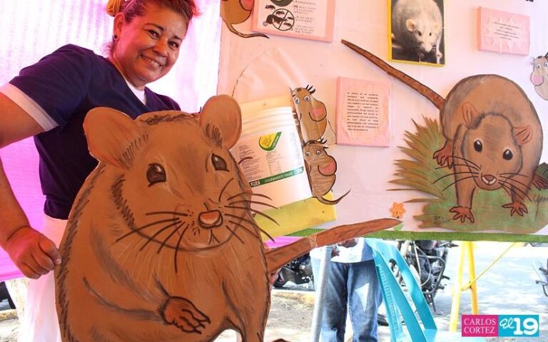 Lanzan Campaña de Prevención de Enfermedades Transmitidas por los Roedores