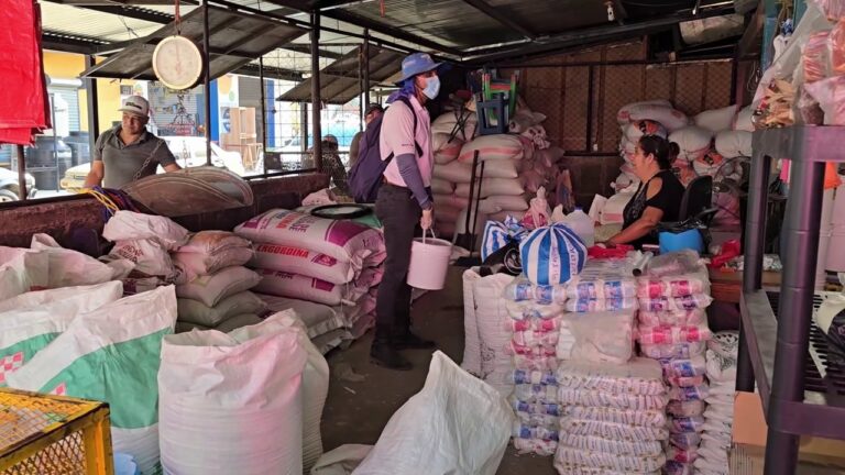 Aplican biorat en Mercados de Matagalpa