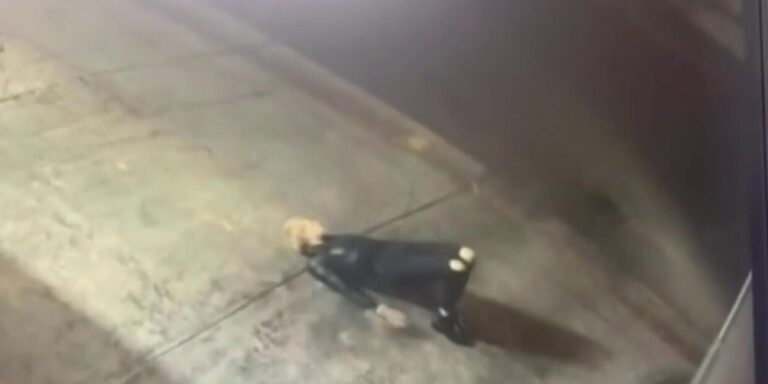 Captan a mujer  haciendo yoga antes de robar en una panadería