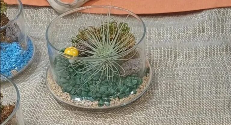 Mensaje en floristería llama la atención de clientes