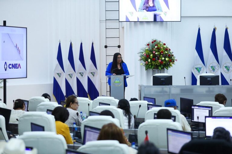 Parlamento recibe informe de gestión anual del CNEA