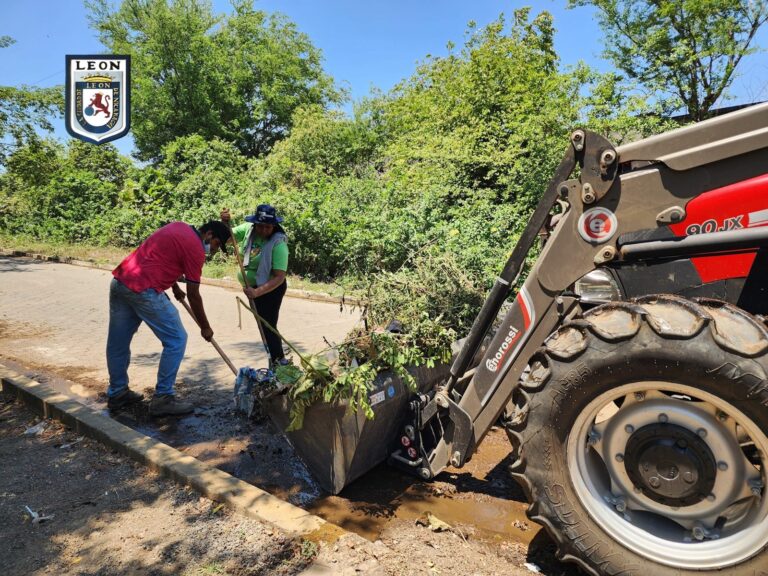 León continúa desarrollando jornadas de limpieza