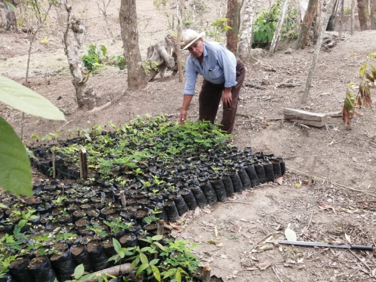 Instalan dos viveros en comunidades de Chontales