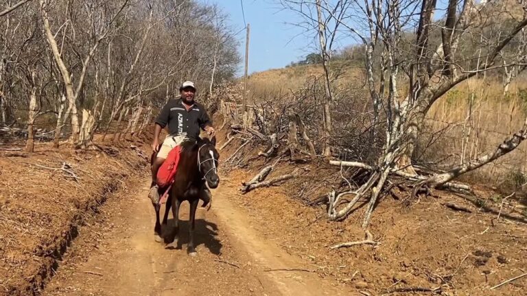 Inauguran rehabilitación de caminos rurales en La Conquista-Carazo