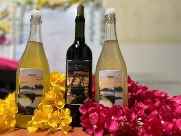 Presentan I Edición del Catálogo de Productos Sostenibles