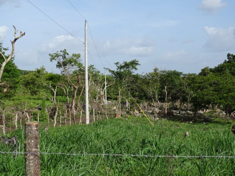 ENATREL electrifica una comunidad de San Ramón, Matagalpa