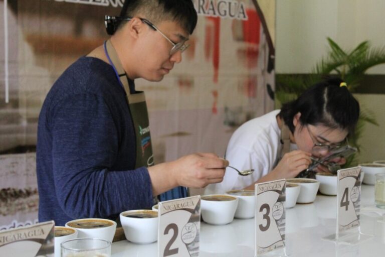 El viernes se premiarán los mejores cafés de Nicaragua