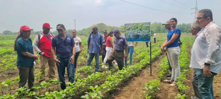 Presentan a productores los Programas de Nutrición y Fertilización