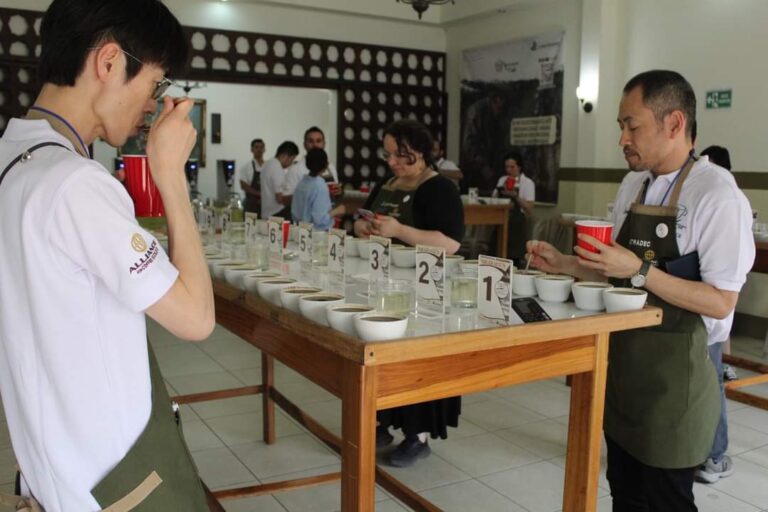 Seleccionan los 10 mejores cafés de Nicaragua