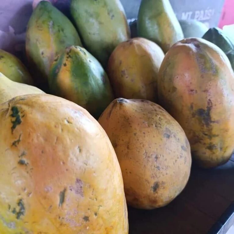 Emprendedores de Managua ofertan sus productos a precios asequibles