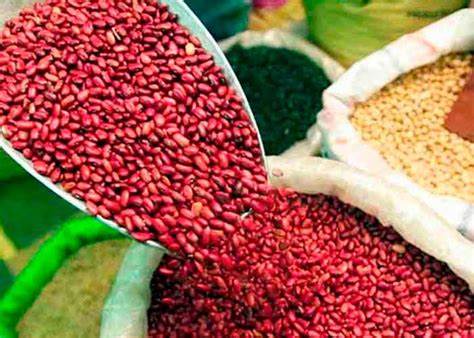 Sector agrícola con buenas perspectivas para este 2024