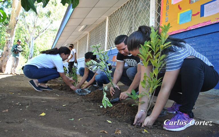 Comparten avances de iniciativas en las escuelas verdes del país