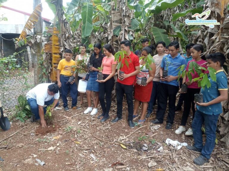 Ambientalistas realizan jornadas de siembras