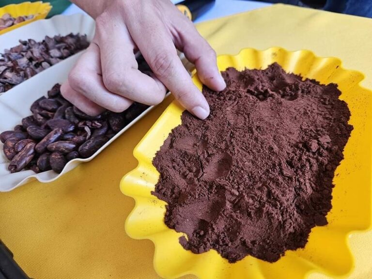 Realizan Festival “Toma Chocolate” en Jinotega