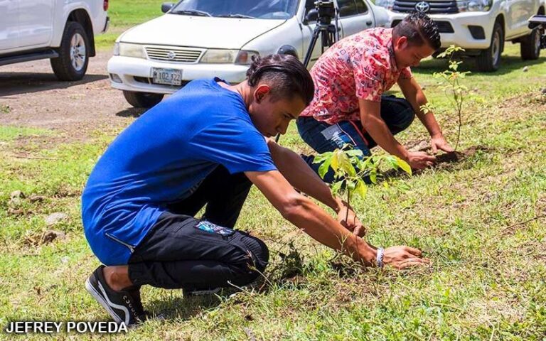 ALMA organiza jornada de reforestación