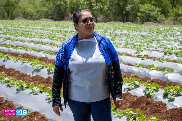 Mujeres se destacan en el campo con la producción de frutas