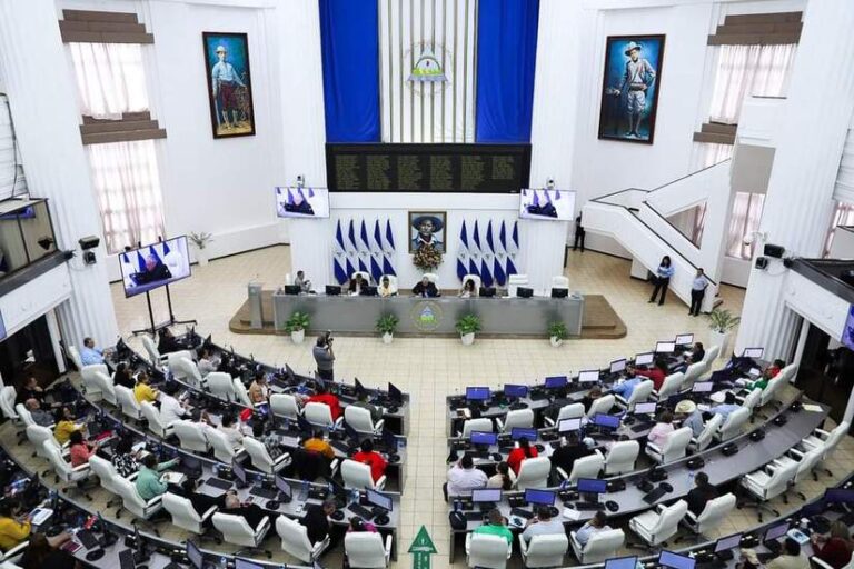 AN aprueba creación de Consejo Presidencial para combatir el crimen organizado y narcotráfico