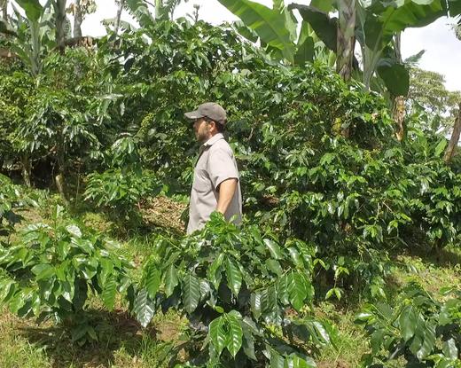 Productores cuentan con acompañamiento integral por parte del Gobierno