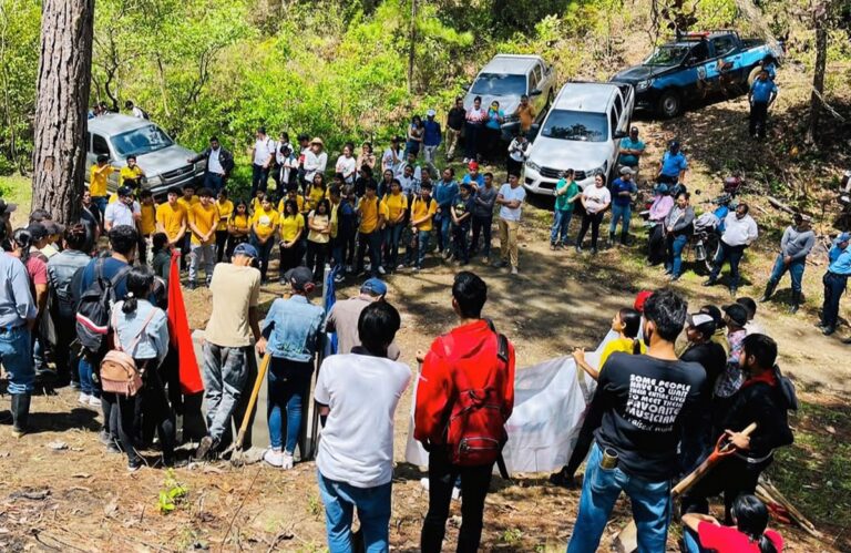 Siembran 350 arboles de pino en el Cerro La Koquimba