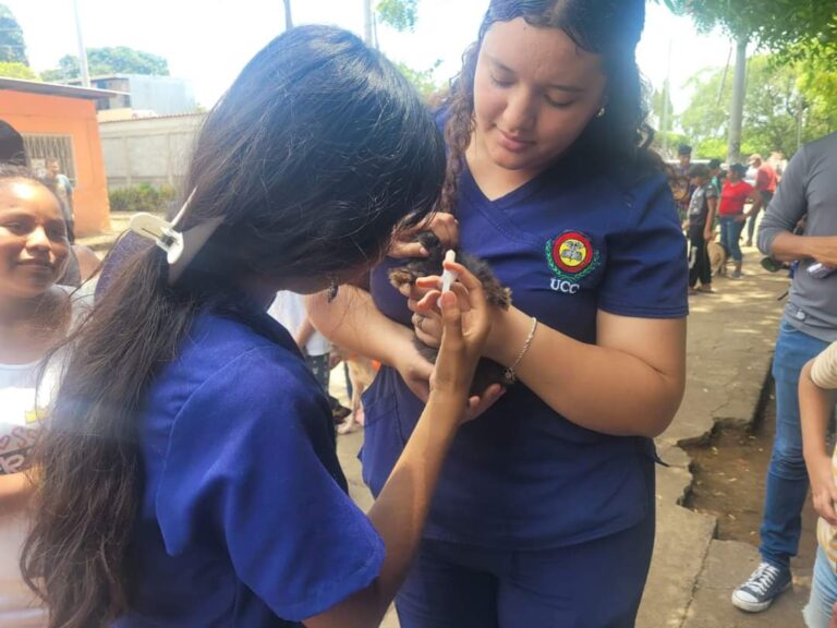 Realizan jornada de atención veterinaria en el barrio Hilario Sánchez