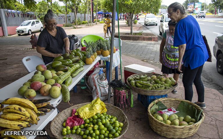 MEFCCA organiza feria con productores de Managua