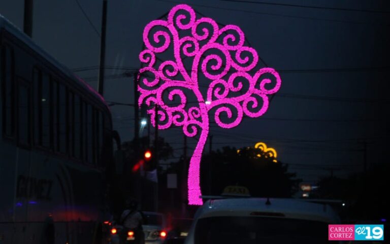 Carretera Panamericana Norte es iluminada con 16 Árboles de la Vida