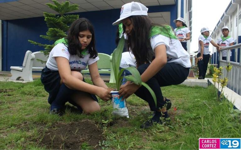 Realizan jornada de reforestación en Colegio Barrilete de Colores