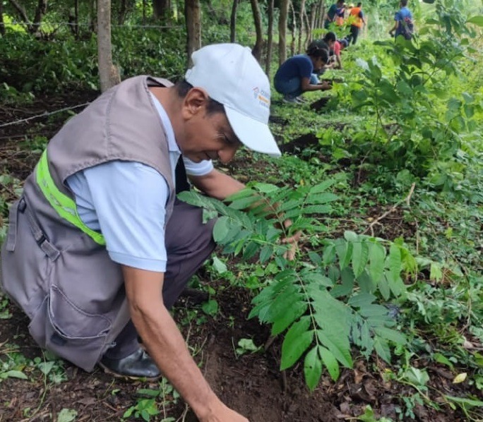 Siembran más de 5 mil 200 árboles frutales y ornamentales