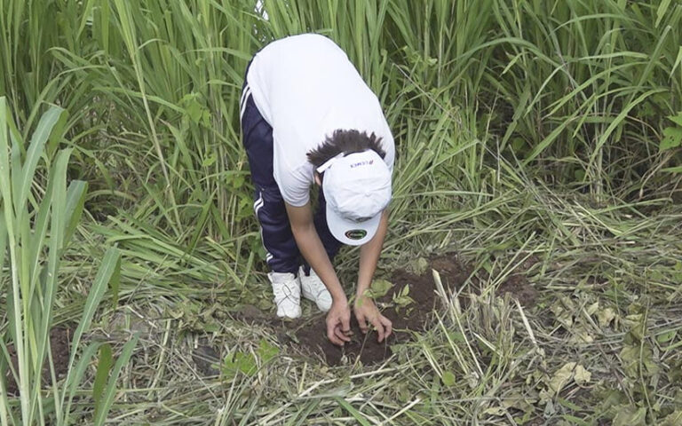 Realizan jornada de reforestación en la Reserva Natural Península de Chiltepe