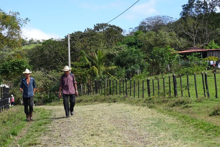 Llevan energía eléctrica a la comunidad Mancera No. 1 de Río Blanco